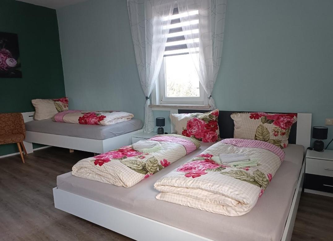 Pension Thueringer Wald Reichmannsdorf Εξωτερικό φωτογραφία